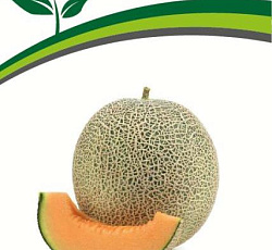 Дыня Капри F1