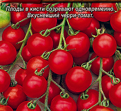 Томат Сладкий миллион