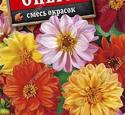 Георгина низкорослая Опера (смесь окрасок)