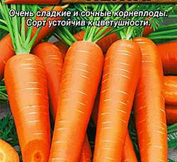 Морковь Зимний нектар