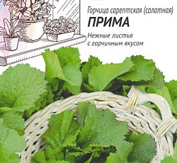 Горчица салатная Прима