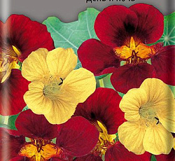 Настурция низкорослая День и ночь