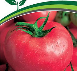 Томат Скворец F1