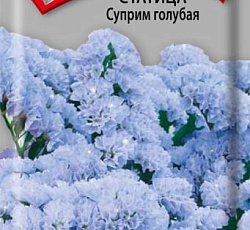 Статица Суприм голубая