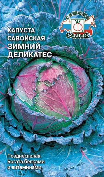 Капуста савойская Зимний Деликатес семена - низкая цена, описание, отзывы,продажа
