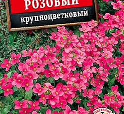 Арабис альпийский Розовый крупноцветковый