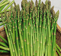 Спаржа Царская