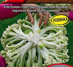 Капуста цветная Букет F1 (спаржевая)