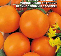 Томат Санька золотой