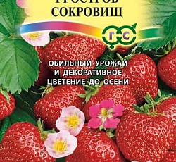 Земляника ремонтантная Остров сокровищ (клубника)