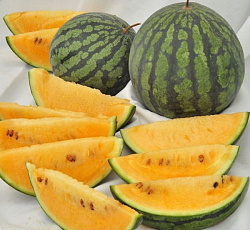 Арбуз Оранжевый медок F1