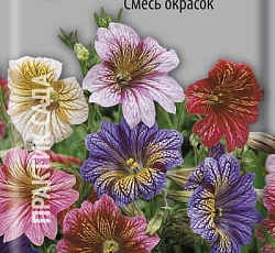 Сальпиглоссис Смесь окрасок