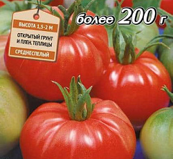 Томат Добрыня Никитич