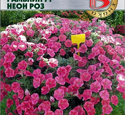 Петуния каскадная Рамблин F1 Неон Роз