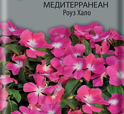 Катарантус ампельный Медитерранеан Роуз Хало
