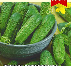 Огурец Надежный