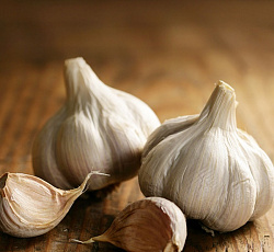 Чеснок Добрыня