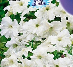 Петуния Суперкаскадная белая F1