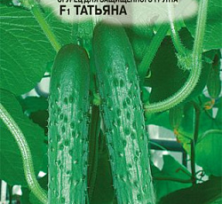 Огурец Татьяна F1