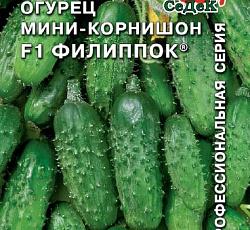 Огурец Филиппок F1