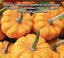 Тыква твердокорая Мандаринка