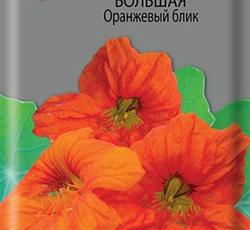 Настурция Большая Оранжевый блик (махровая)