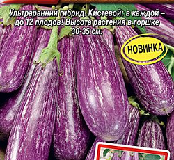 Баклажан Ча-ча-ча F1