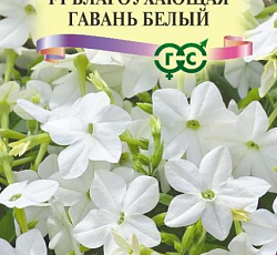 Табак Благоухающая гавань белый F1