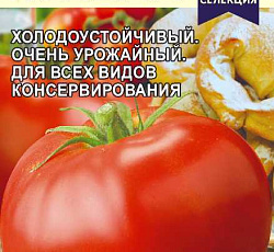 Томат Кулема