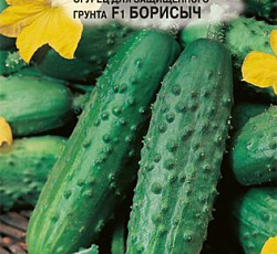 Огурец Борисыч F1