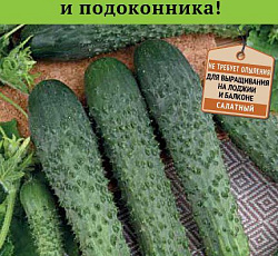 Огурец Альтернатива F1