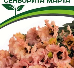 Эустома F1 бахромчатая Сеньорита Марта