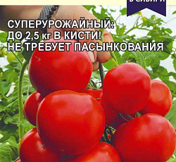 Томат Мамонтенок