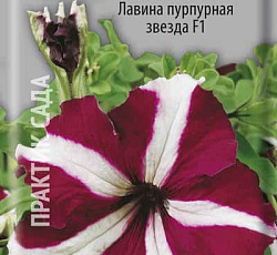 Петуния ампельная Лавина пурпурная звезда F1