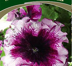 Петуния превосходнейшая Розовая