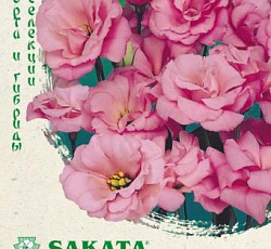 Эустома (лизиантус) Эхо розовая F1