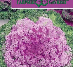 Капуста Декоративная Нагойя розовая