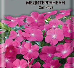 Катарантус ампельный Медитерранеан Хот Роуз