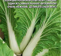 Капуста пекинская Хибинская