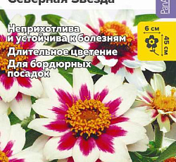 Цинния Захара Северная звезда