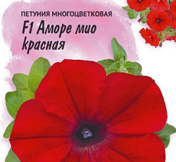 Петуния многоцветковая Аморе мио красная F1
