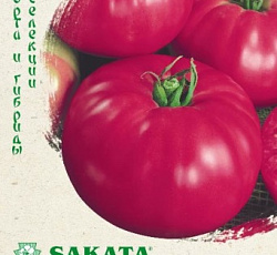 Томат Пинк парадайз F1