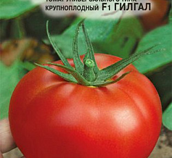 Томат Гилгал F1