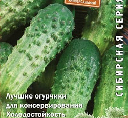 Огурец Алтай