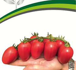 Томат Черри Сокотра F1