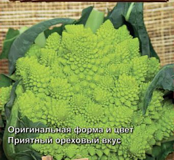 Капуста цветная Зеленая гроздь