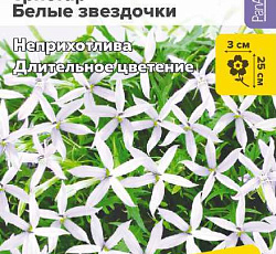 Изотома Тристар Белые звездочки