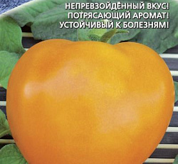 Томат Мишка косолапый оранжевый