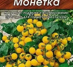 Томат Монетка