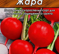Редис Жара